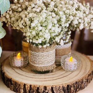 12 inch Log Slices