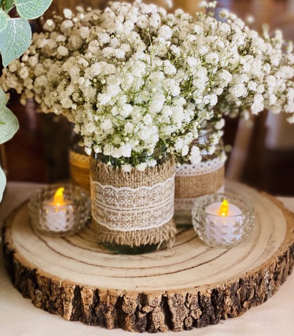 12 inch Log Slices