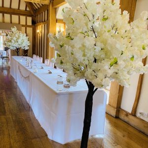 Blossom Trees