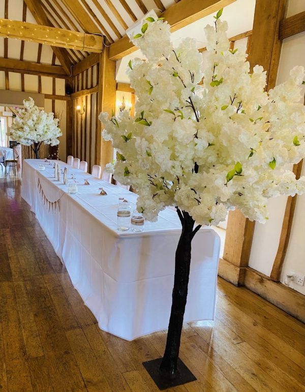 Blossom Trees