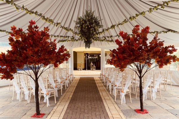 Blossom Trees - Image 2
