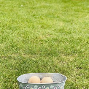 Bowl a Ball