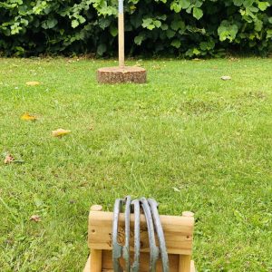 Horseshoe Toss