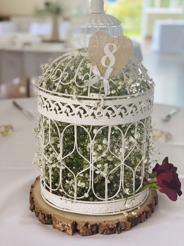 Log Slice with Large Birdcage