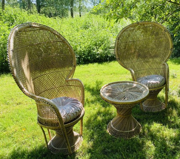2 Wicker Peacock Chairs & Table