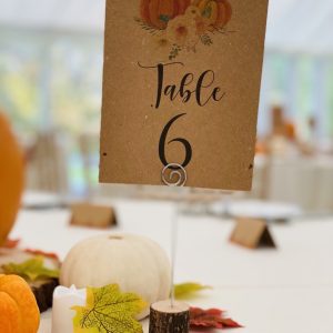 Table Name/Number Cards