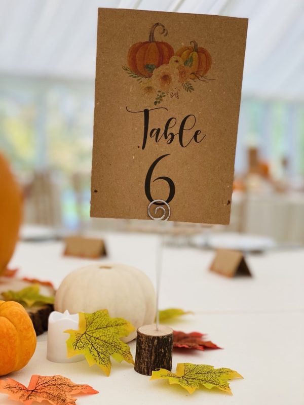 Table Name/Number Cards