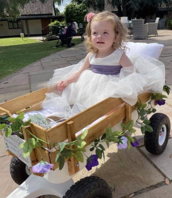 Wedding Baby/Child Carriage - Image 3